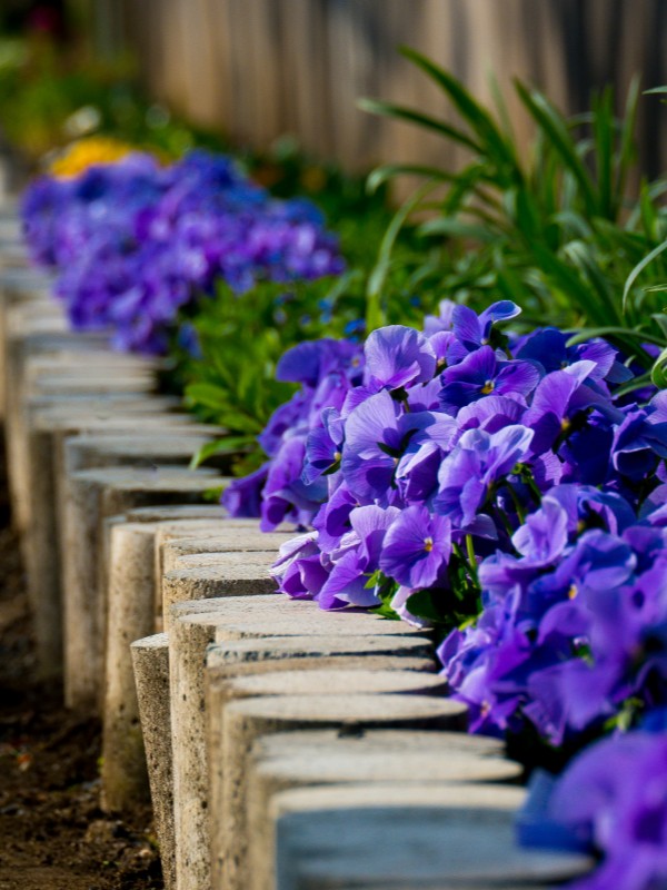 wooden_lawn_edging